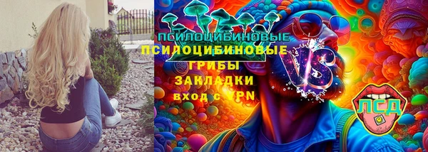 гидропоника Алзамай