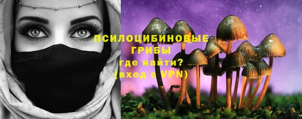 гидропоника Алзамай