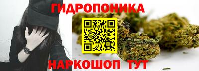 ALPHA PVP Малоярославец