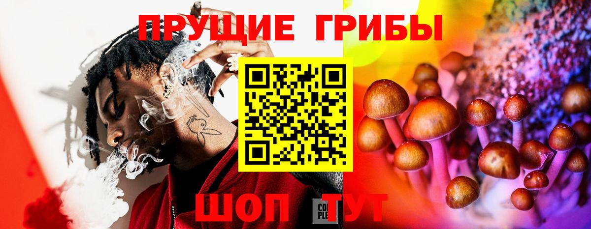 Галлюциногенные грибы Cubensis  Вход с VPN  Осинники 
